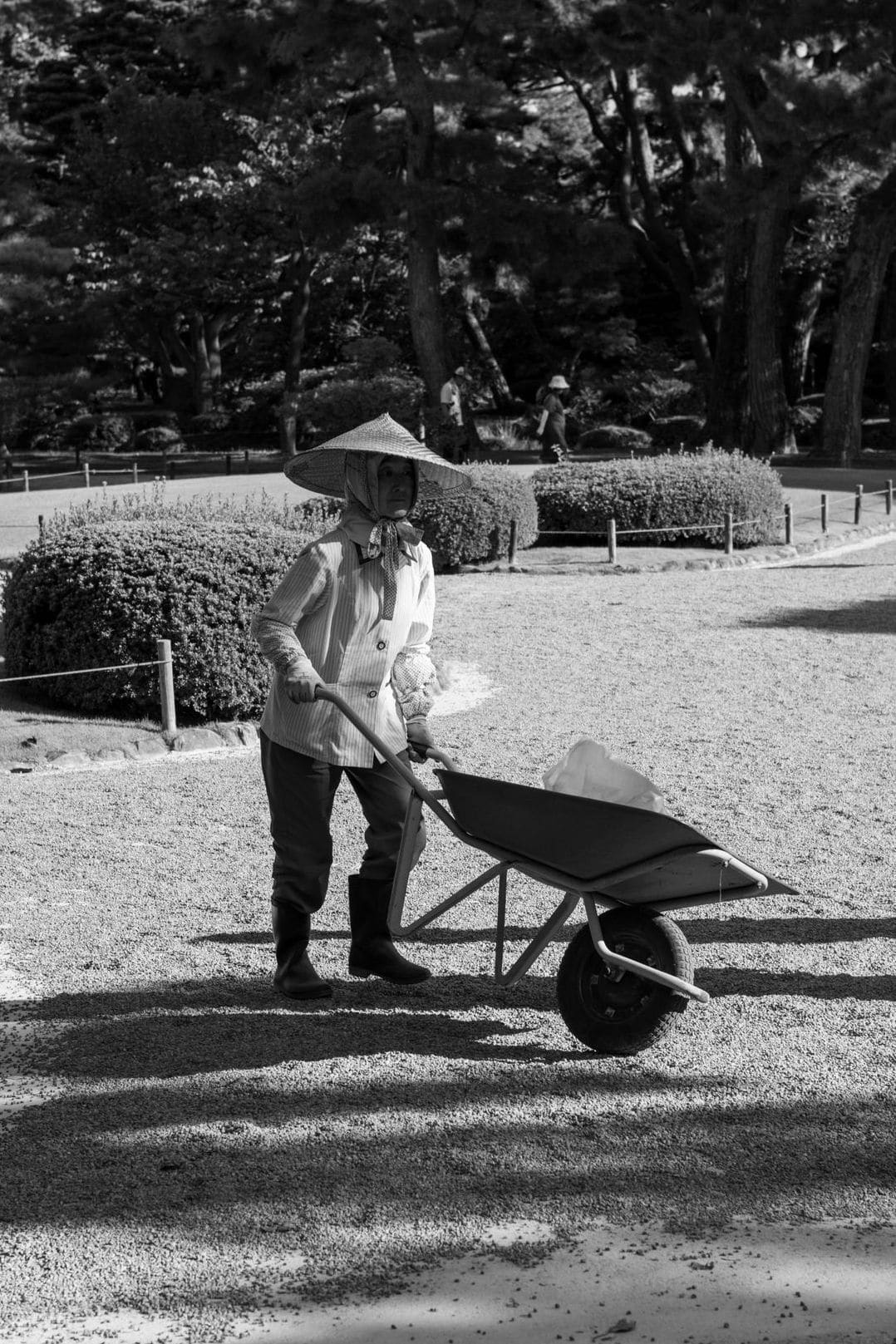 みどり庭園 8